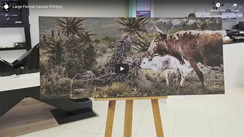 Photoquip Large Format Canvas Printing