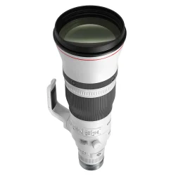Canon RF 600mm f/4L IS USM Lens