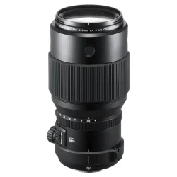 Fujifilm GF 250mm f/4 R LM OIS WR Lens
